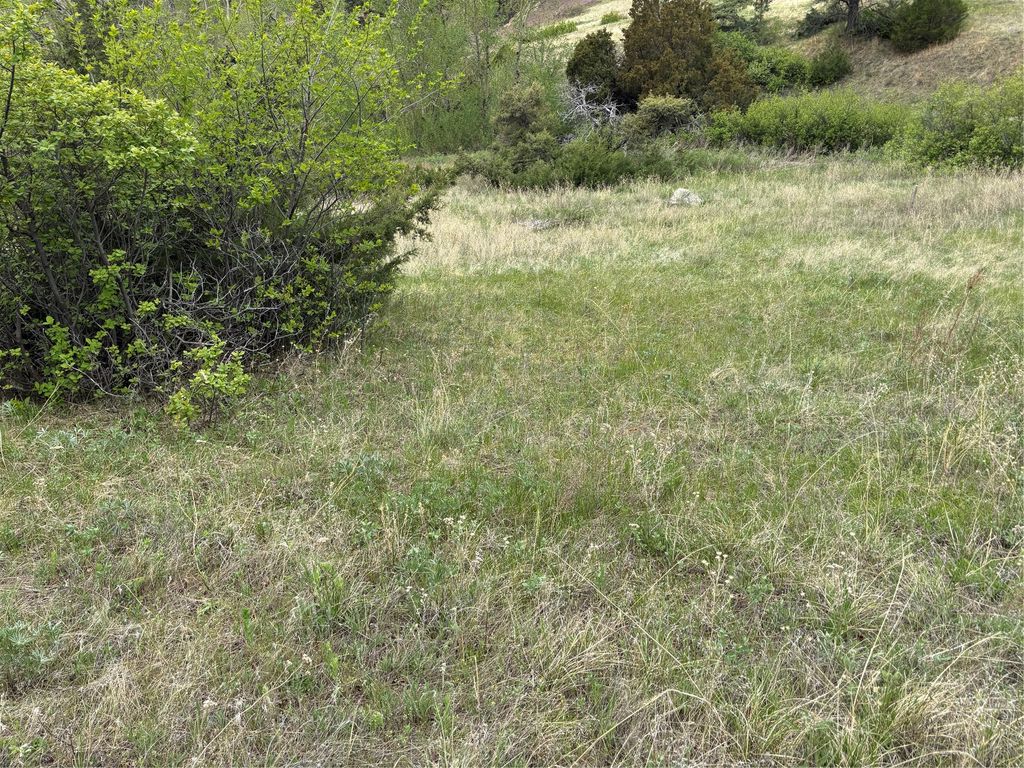 Photo of TBD Beartooth Road, Wolf Creek, MT 59648 (MLS # 30043359)