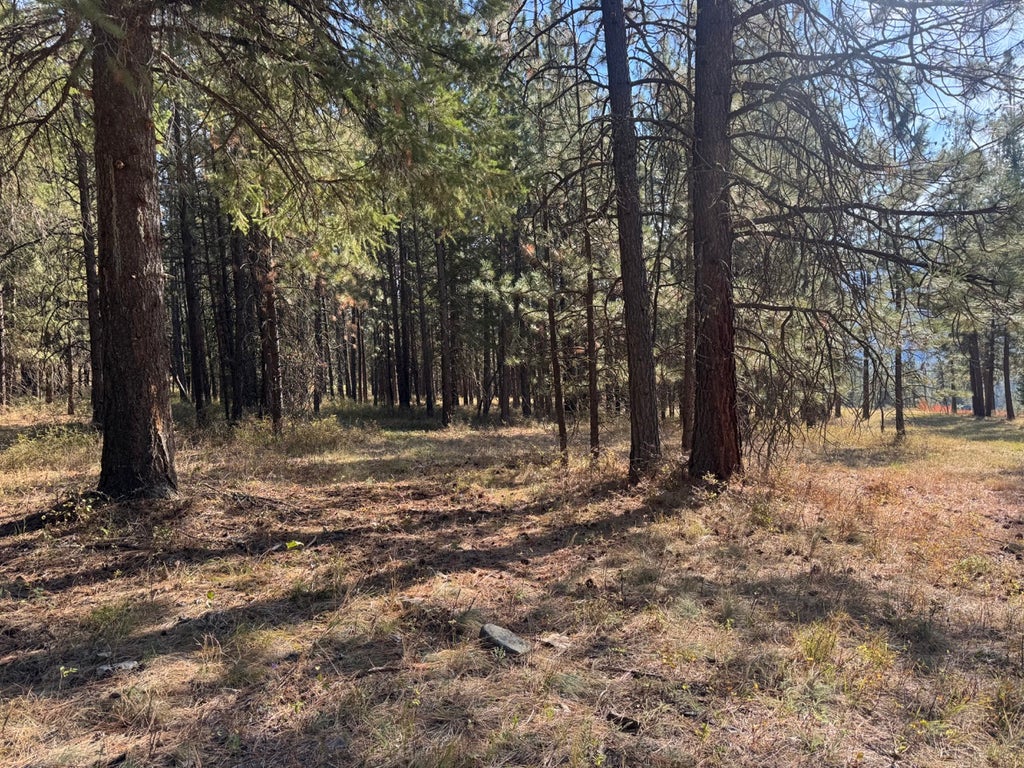 Photo of 10 Munson Creek Road, Thompson Falls, MT 59873 (MLS # 30079952)