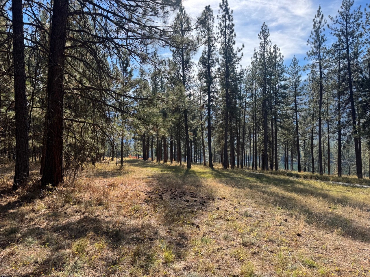 10 Munson Creek Road