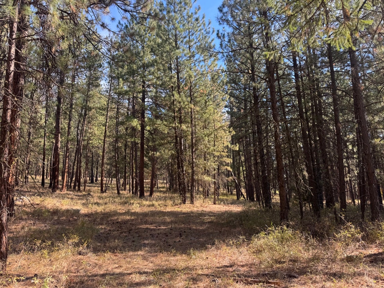 10 Munson Creek Road