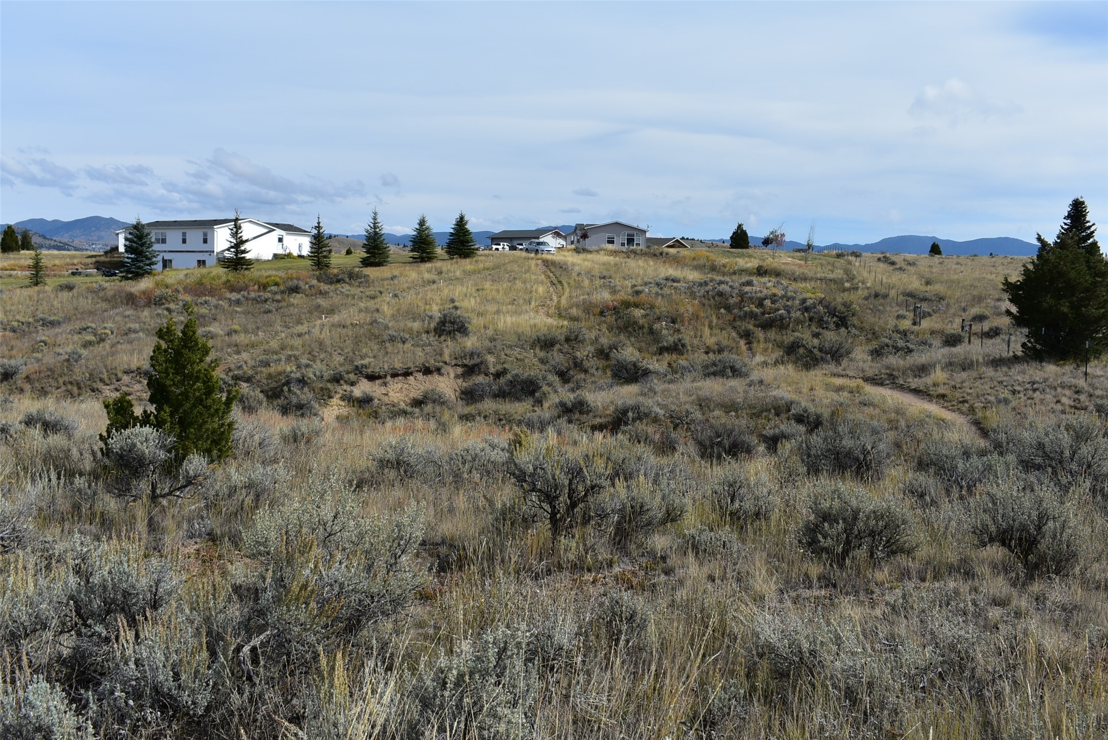 tbd Indian Paint Brush Road