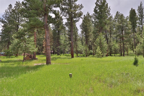 Tiny photo for 4587 Patterson Loop, Lincoln, MT 59639 (MLS # 30073483)