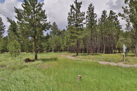 Tiny photo for 4587 Patterson Loop, Lincoln, MT 59639 (MLS # 30073483)