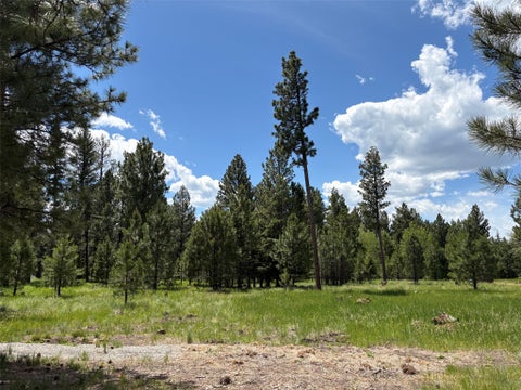 Tiny photo for 4587 Patterson Loop, Lincoln, MT 59639 (MLS # 30073483)