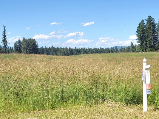 521 YOEMAN HALL RD, KALISPELL, MT 59901 - Image dfc8602b92cf8dcfdcdff30c7b86cdcb/4138426963