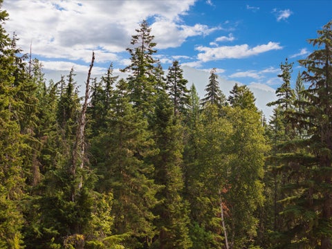 Tiny photo for 150 & 36 Turkey Trot Trail, Kalispell, MT 59901 (MLS # 30076527)