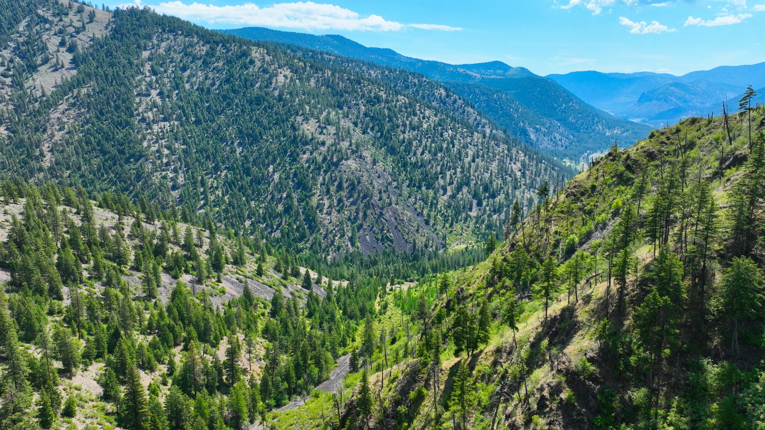 Nhn W Mountain Creek Road 1