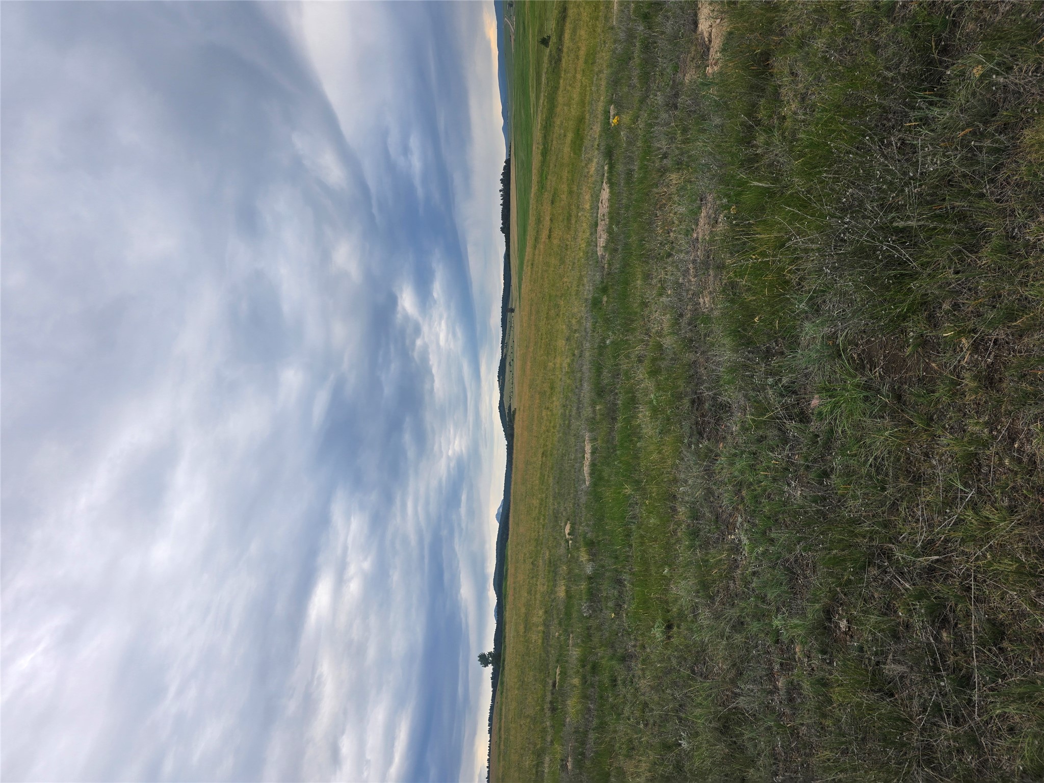 Nhn Meadow View