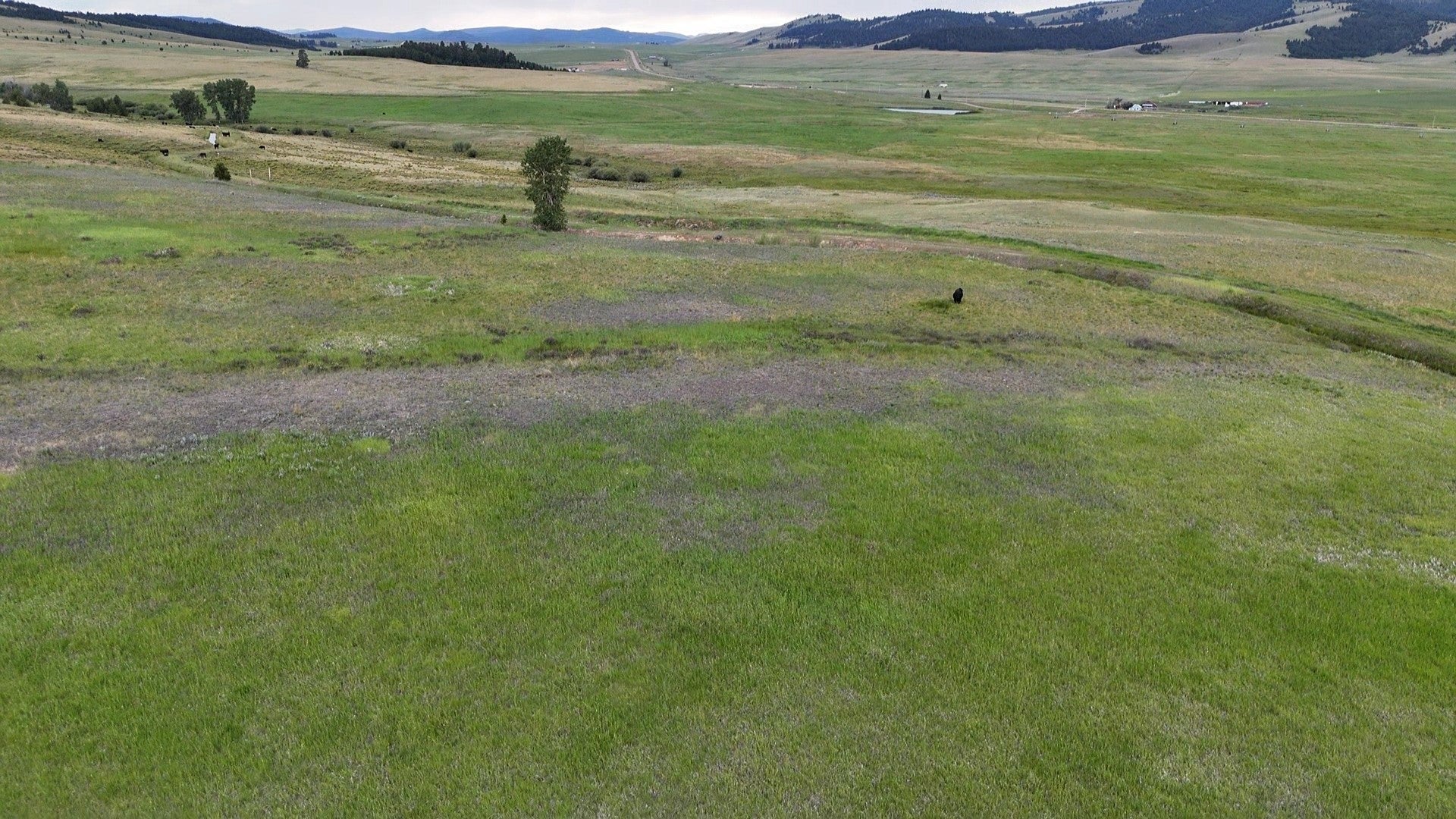 Nhn Meadow View