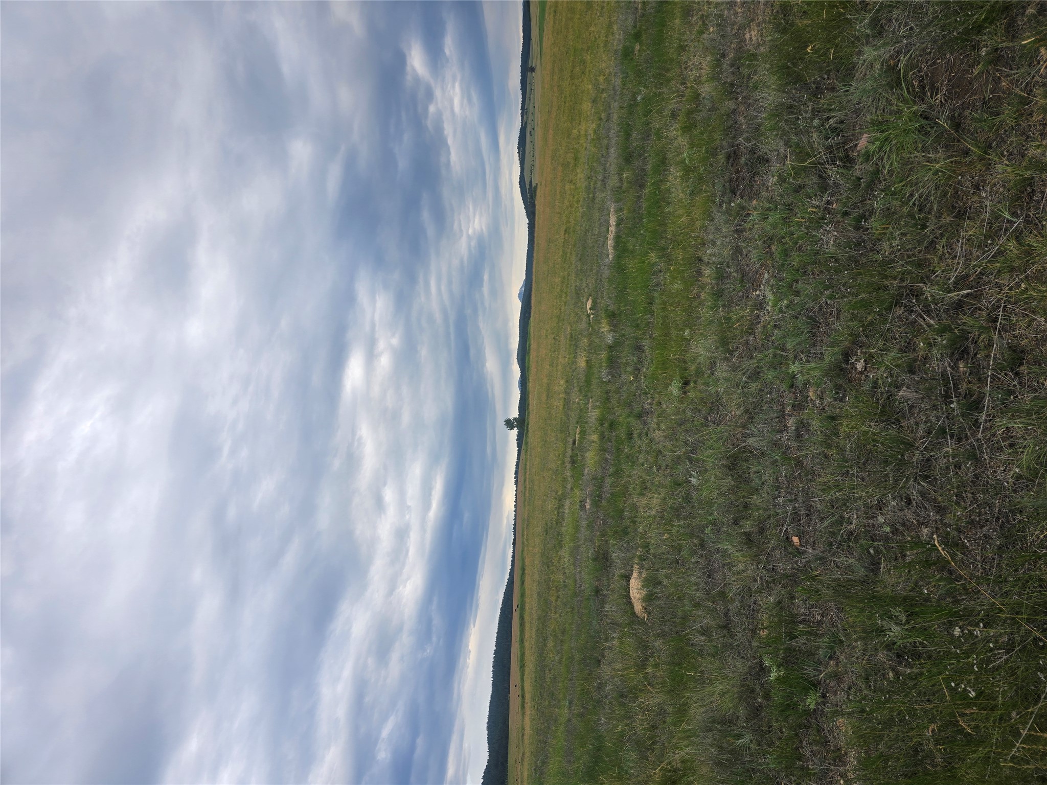 Nhn Meadow View