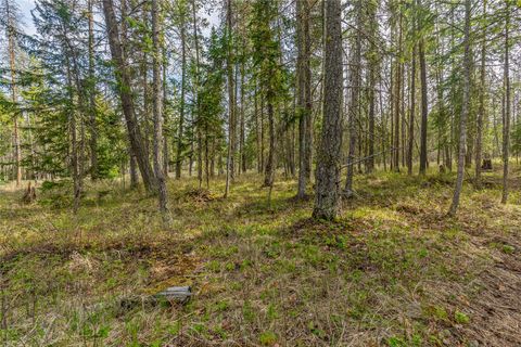 Tiny photo for 255 Blanchard Lake Road, Whitefish, MT 59937 (MLS # 30069405)