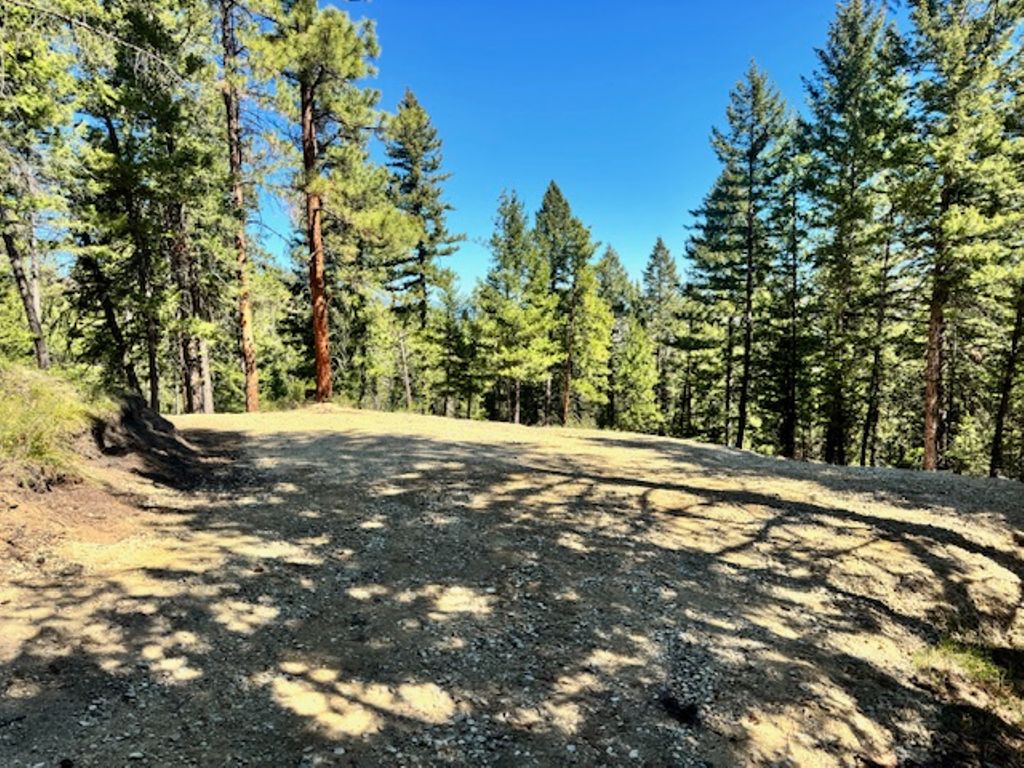 Photo of 1798 Rocky Top Road, Hamilton, MT 59840 (MLS # 30048221)