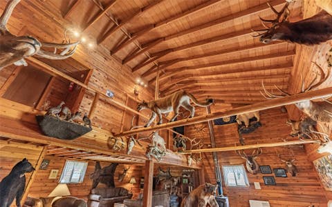 Tiny photo for 100 Remington Road, Noxon, MT 59853 (MLS # 30071277)