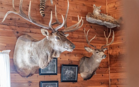 Tiny photo for 100 Remington Road, Noxon, MT 59853 (MLS # 30071277)