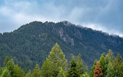 Tiny photo for 100 Remington Road, Noxon, MT 59853 (MLS # 30071277)