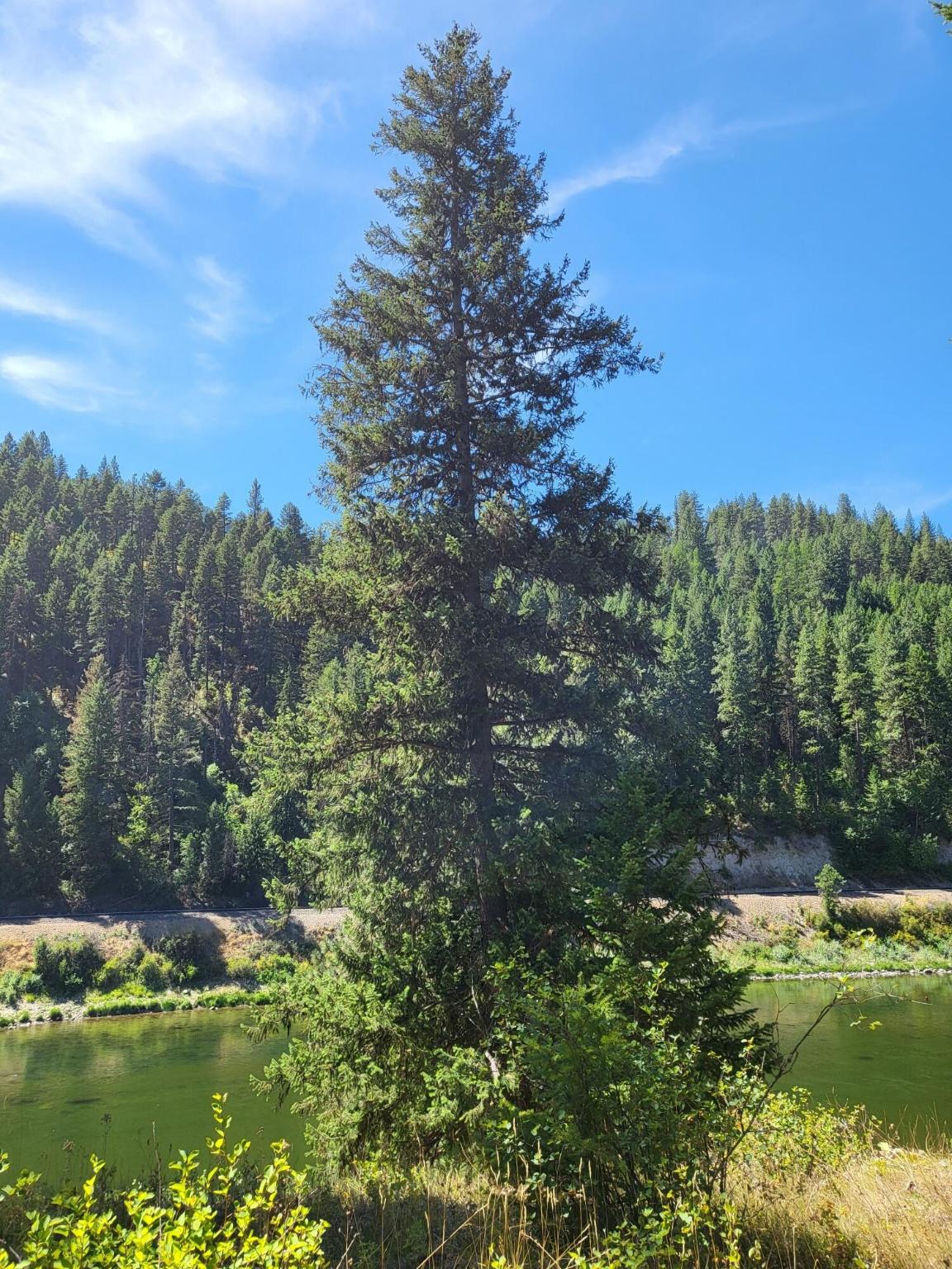 Lot 13 Trestle Creek Drive