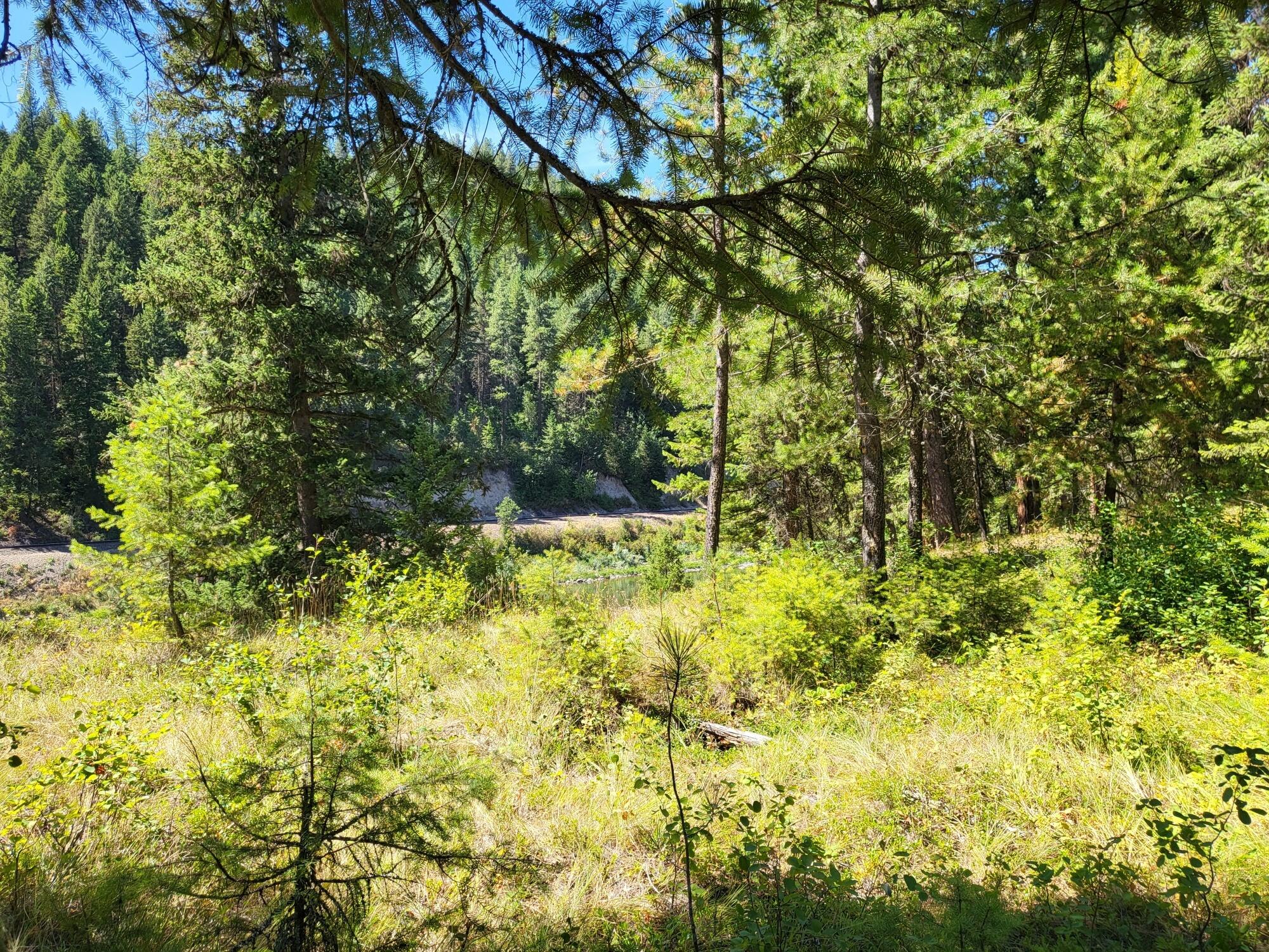 Lot 13 Trestle Creek Drive