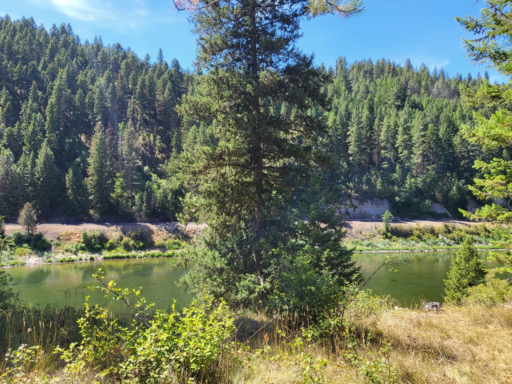 Lot 13 Trestle Creek Drive