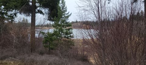 38244 Turtle Lake Loop Polson MT 59860