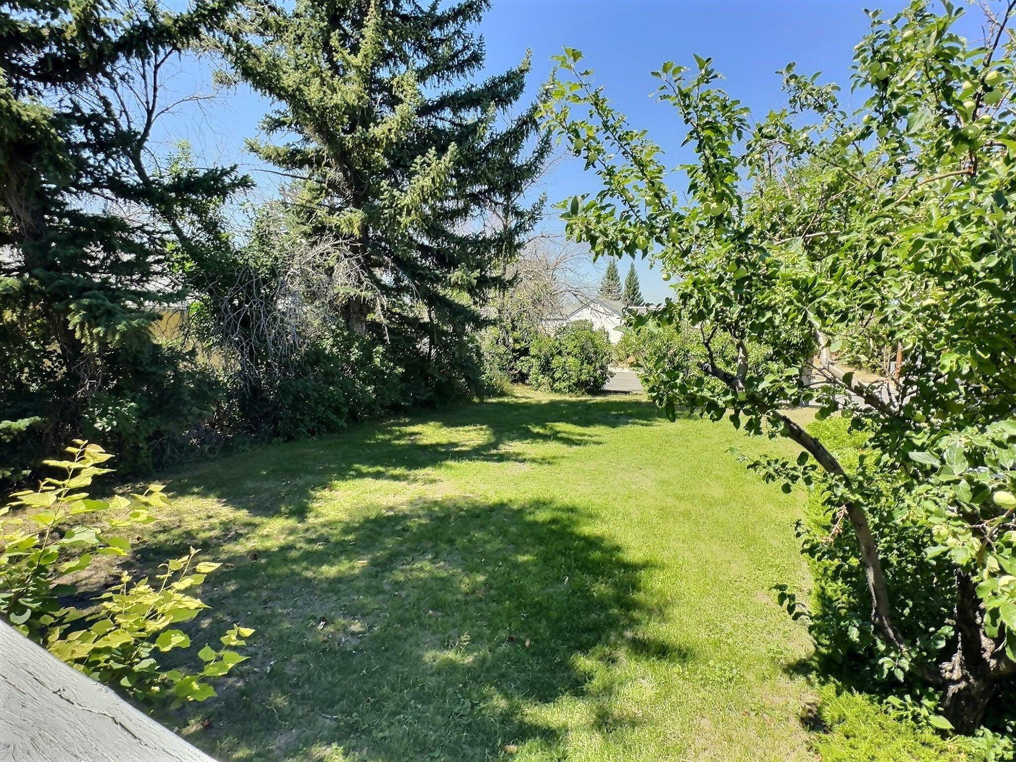219 3rd Avenue SE