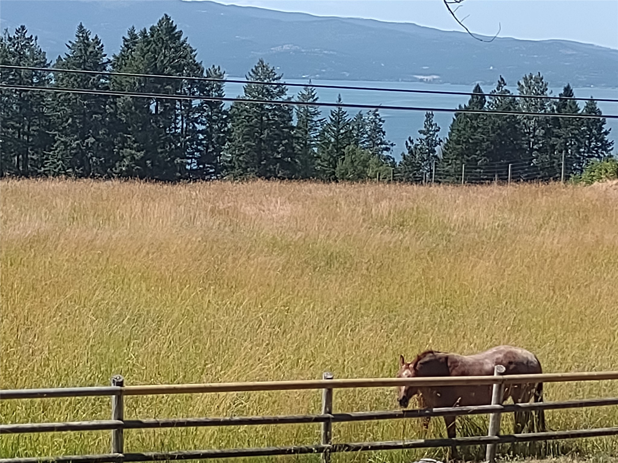 Bigfork, Montana 59911, United States, 3 Bedrooms Bedrooms, ,2 BathroomsBathrooms,Residential,Active,98623