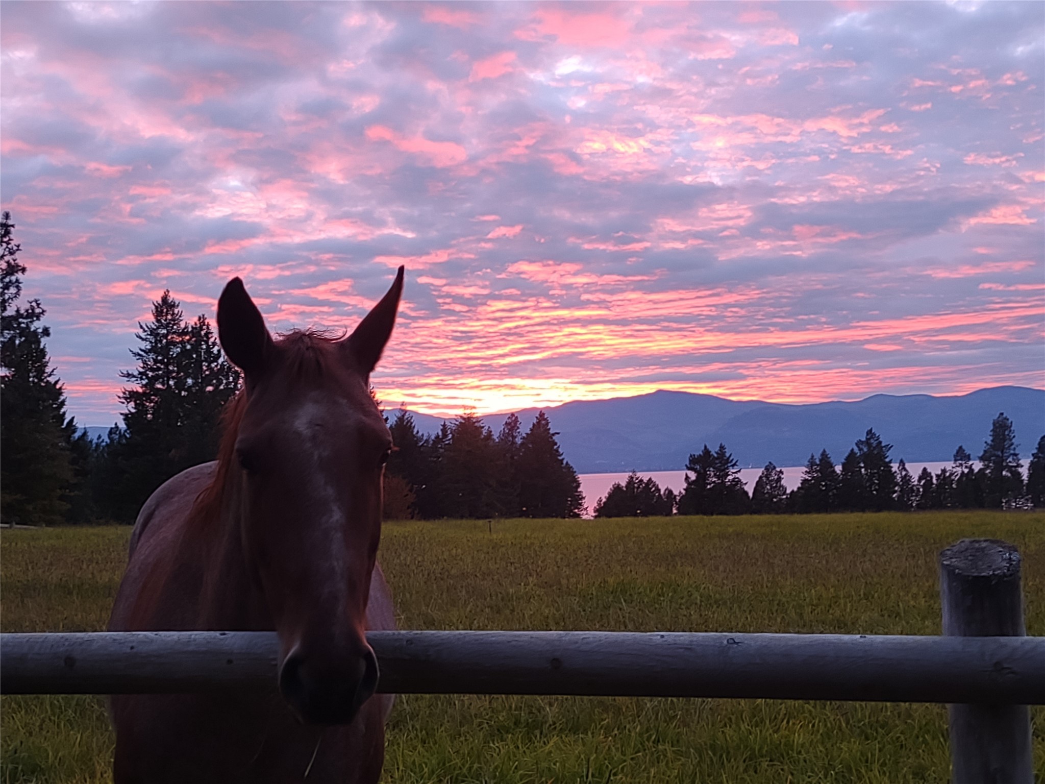 Bigfork, Montana 59911, United States, 3 Bedrooms Bedrooms, ,2 BathroomsBathrooms,Residential,Active,98623