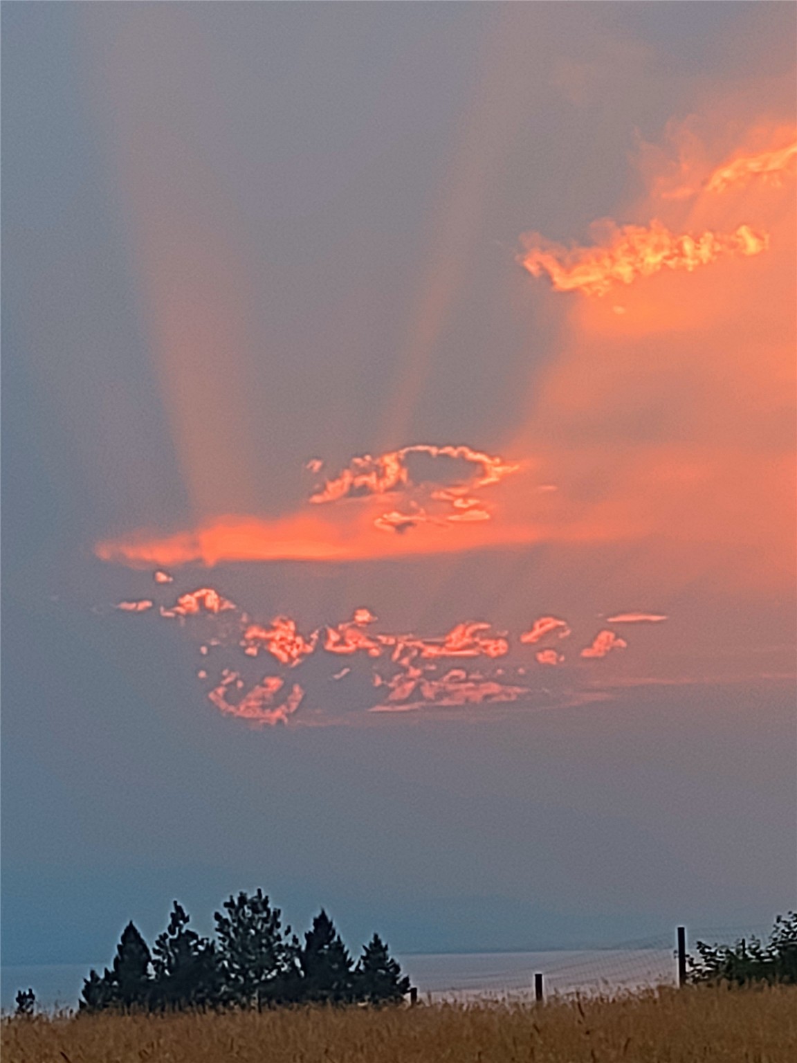 Bigfork, Montana 59911, United States, 3 Bedrooms Bedrooms, ,2 BathroomsBathrooms,Residential,Active,98623