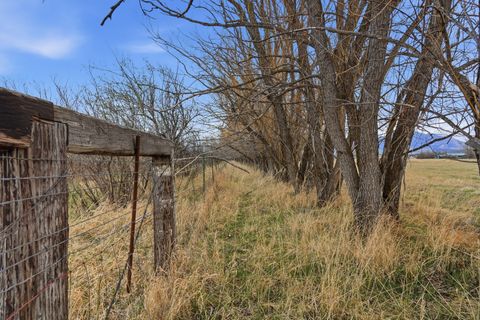 Tiny photo for 6133 Bigelow Road, Bozeman, MT 59718 (MLS # 30067876)
