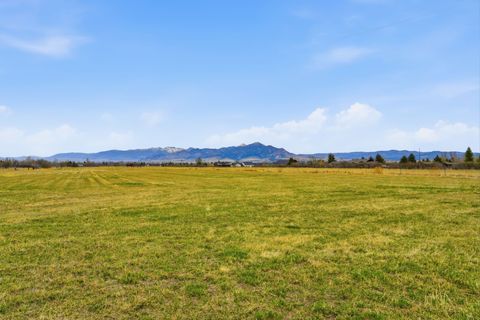Tiny photo for 6133 Bigelow Road, Bozeman, MT 59718 (MLS # 30067876)