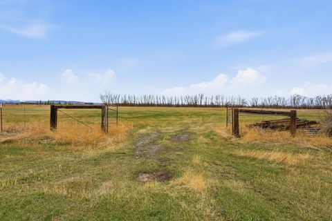 Tiny photo for 6133 Bigelow Road, Bozeman, MT 59718 (MLS # 30067876)