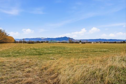 Tiny photo for 6133 Bigelow Road, Bozeman, MT 59718 (MLS # 30067876)