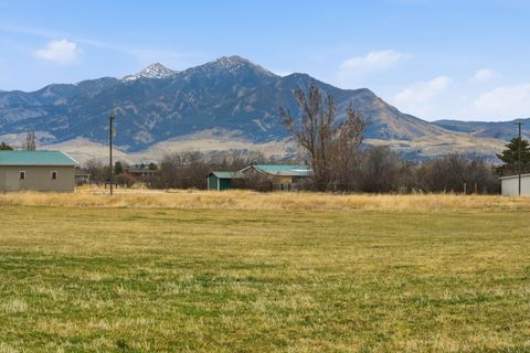 Tiny photo for 6133 Bigelow Road, Bozeman, MT 59718 (MLS # 30067876)