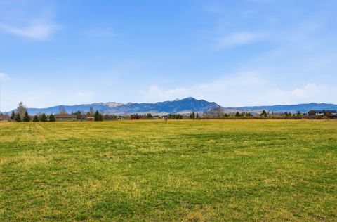 Tiny photo for 6133 Bigelow Road, Bozeman, MT 59718 (MLS # 30067876)