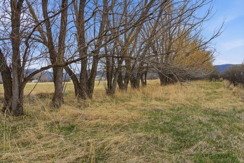 Tiny photo for 6133 Bigelow Road, Bozeman, MT 59718 (MLS # 30067876)