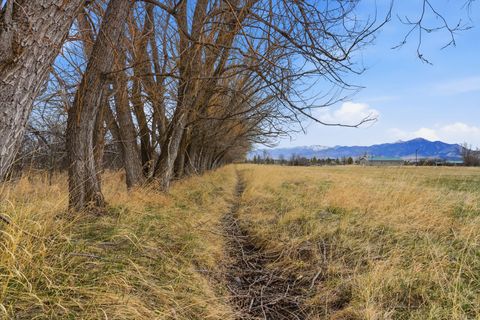 Tiny photo for 6133 Bigelow Road, Bozeman, MT 59718 (MLS # 30067876)