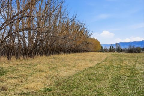 Tiny photo for 6133 Bigelow Road, Bozeman, MT 59718 (MLS # 30067876)