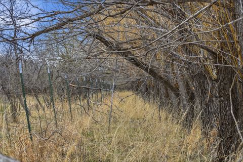 Tiny photo for 6133 Bigelow Road, Bozeman, MT 59718 (MLS # 30067876)