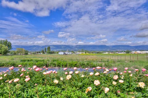 Tiny photo for 1327 Honey House Lane, Corvallis, MT 59828 (MLS # 30072289)