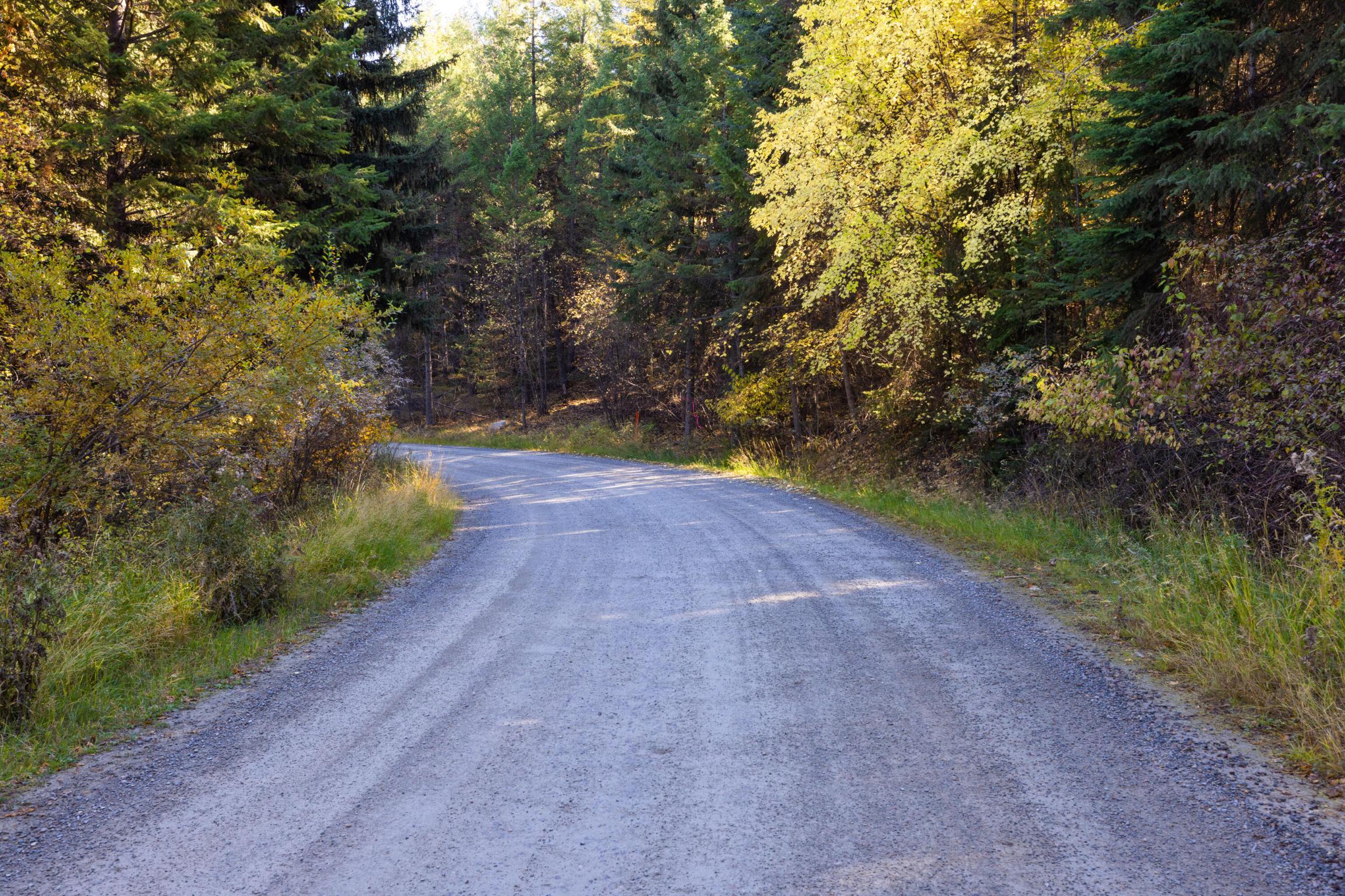 Nhn Gut Creek Road
