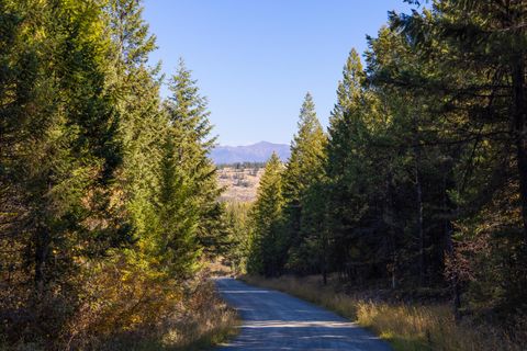 Nhn Gut Creek Road Eureka MT 59917