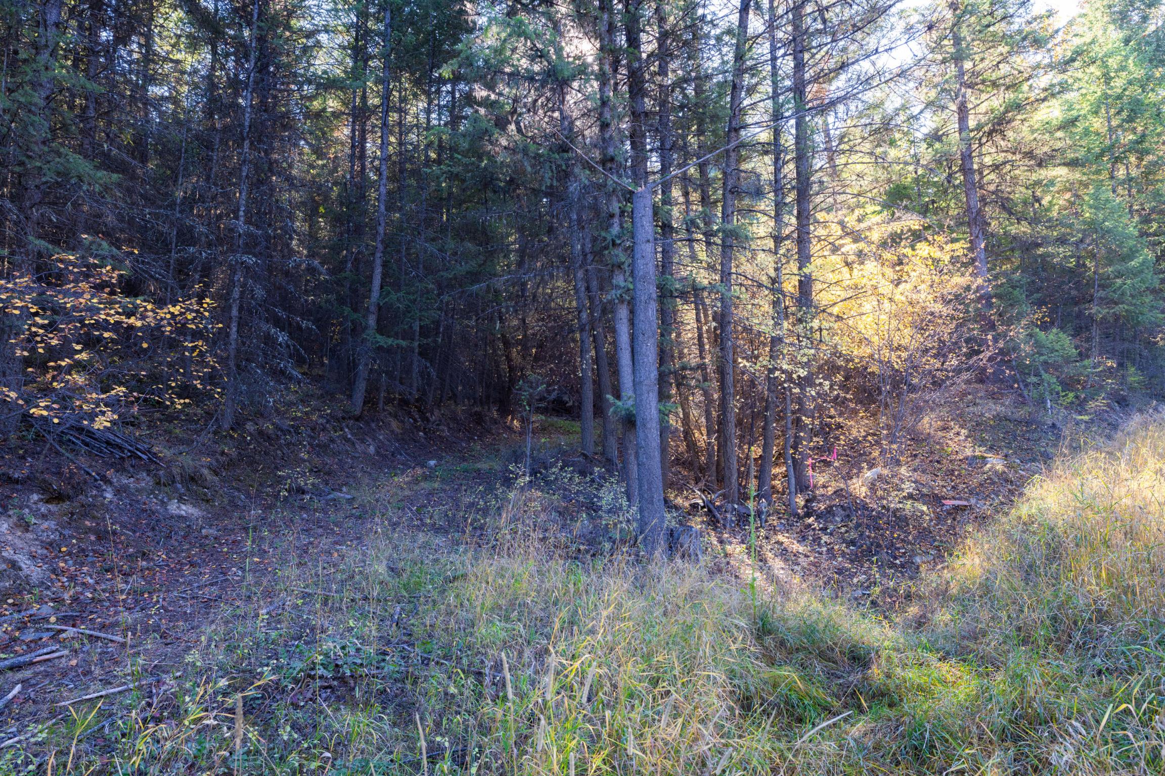 Nhn Gut Creek Road