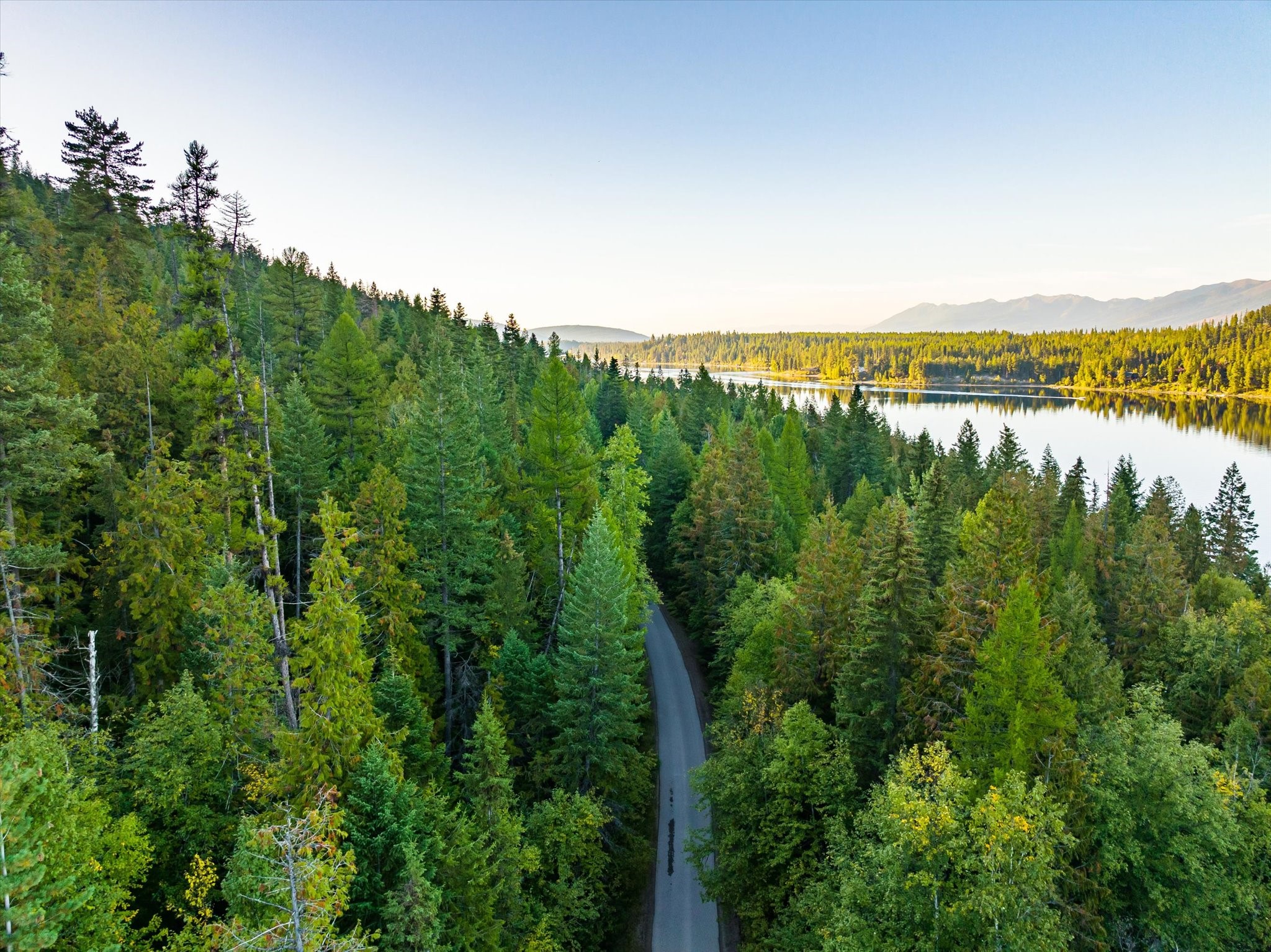 Bigfork, Montana 59911, United States, ,Land,Active,72594