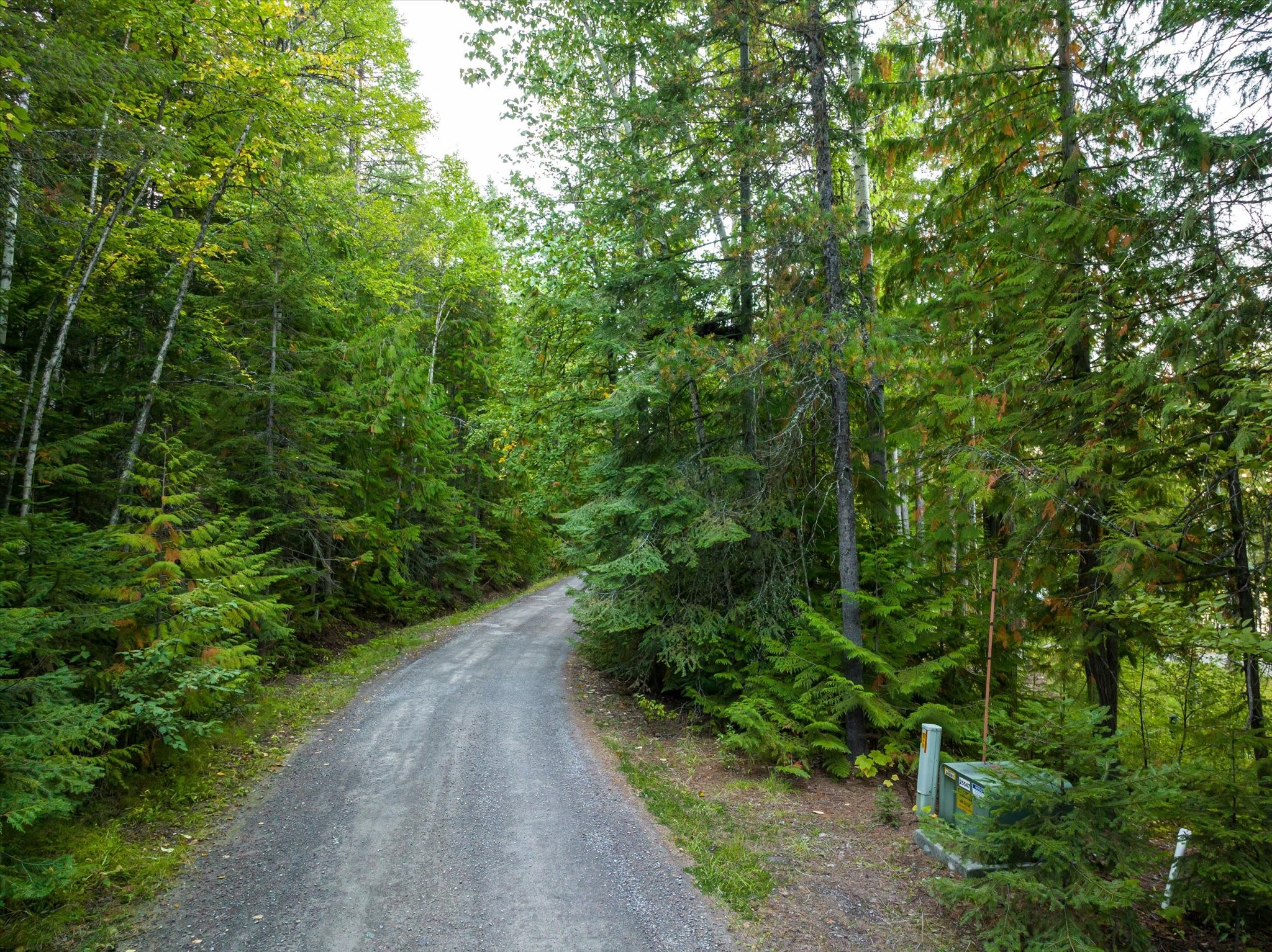Bigfork, Montana 59911, United States, ,Land,Active,72594