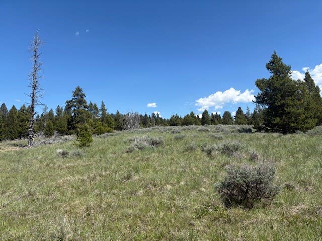 Photo of NHN MT Highway 279, Lincoln, MT 59639 (MLS # 30075262)