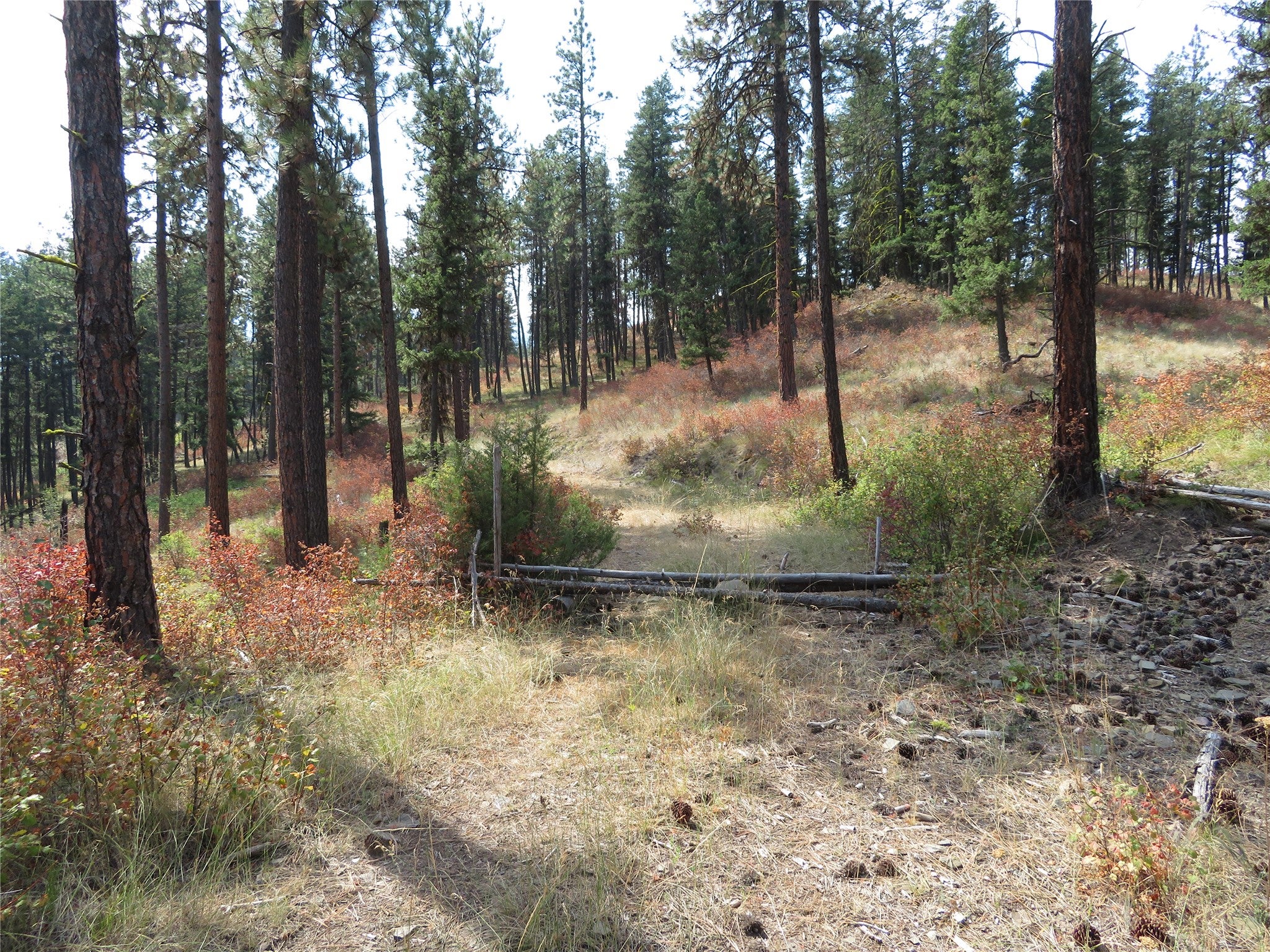 NHN Rosco Road