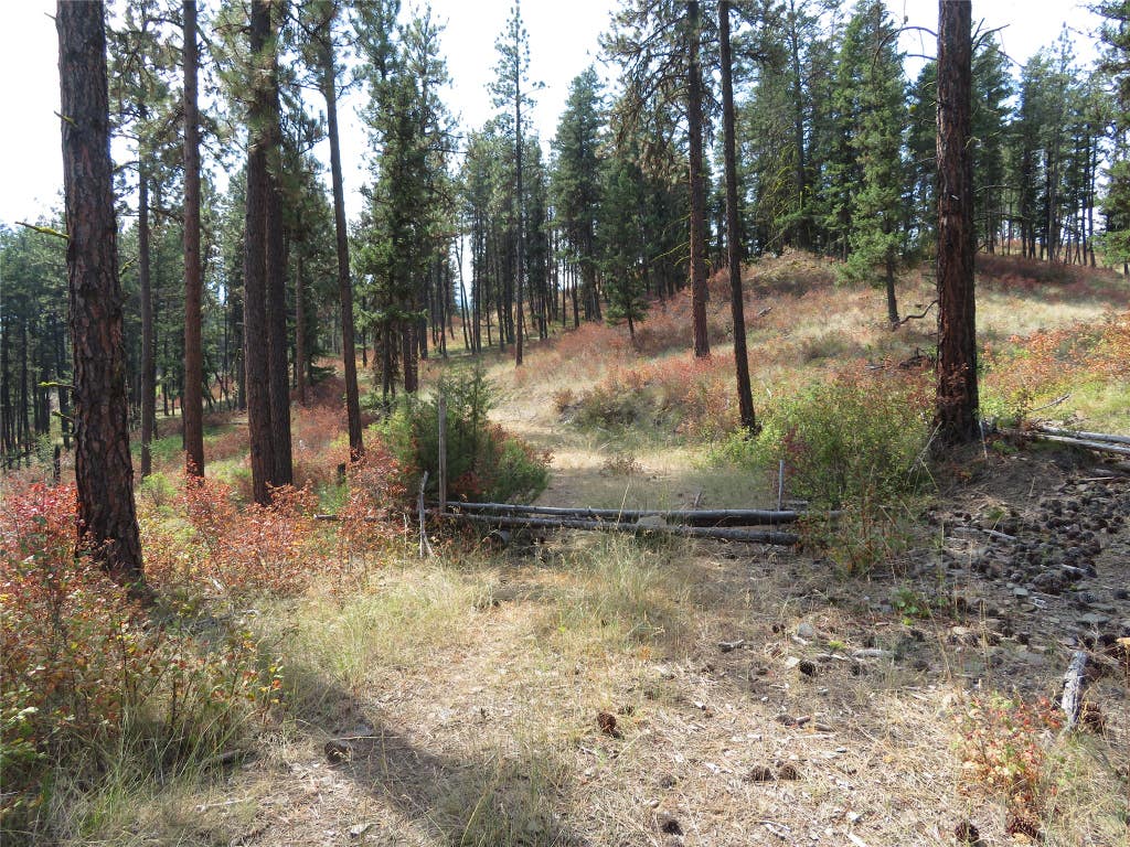 Photo of NHN Rosco Road, Alberton, MT 59820 (MLS # 30077257)