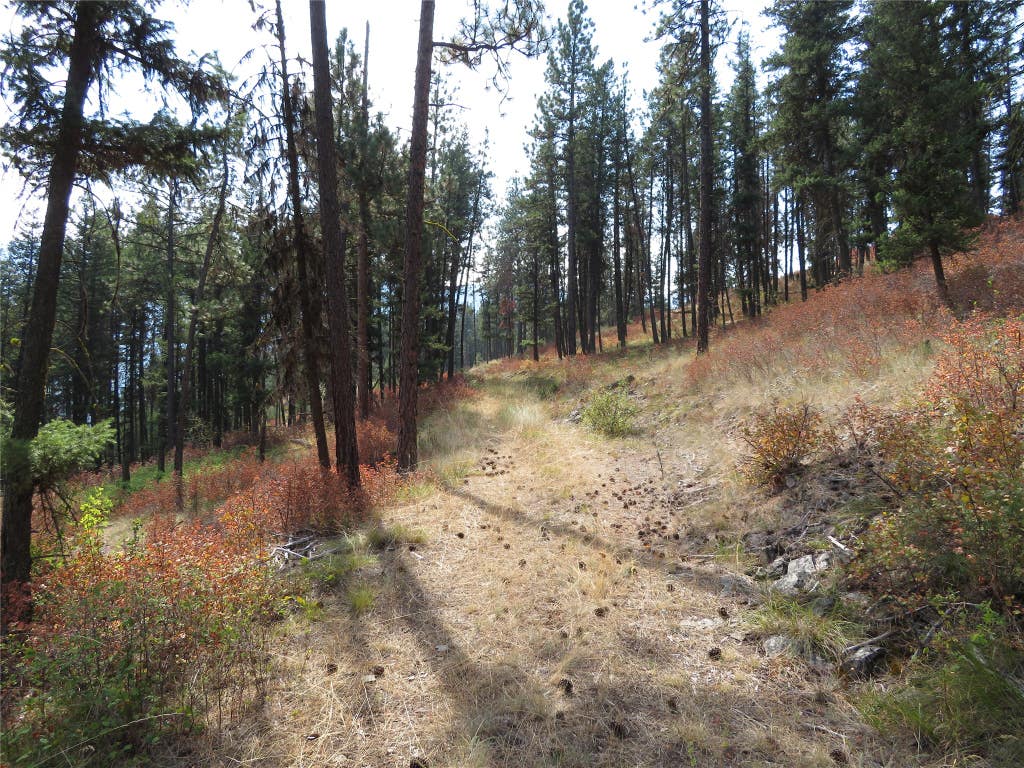 Photo of NHN Rosco Road, Alberton, MT 59820 (MLS # 30077257)