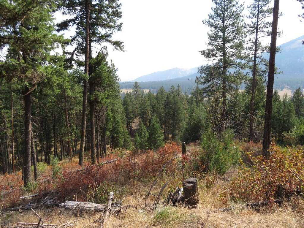 Photo of NHN Rosco Road, Alberton, MT 59820 (MLS # 30077257)
