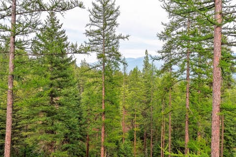 Tiny photo for 16784 Thornburg Way, Missoula, MT 59808 (MLS # 30077186)