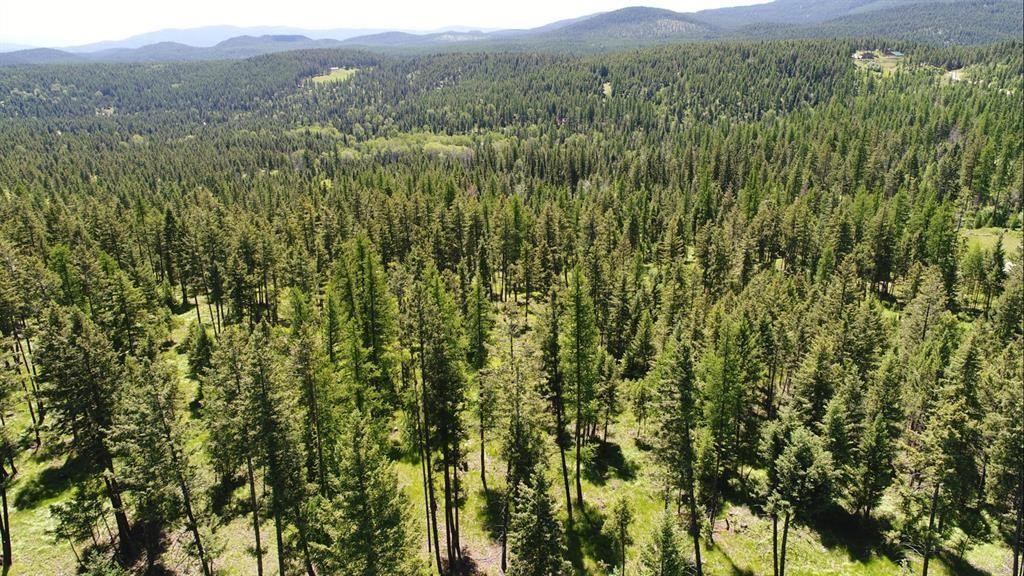 Lot 2 Meadow Springs Subdivision